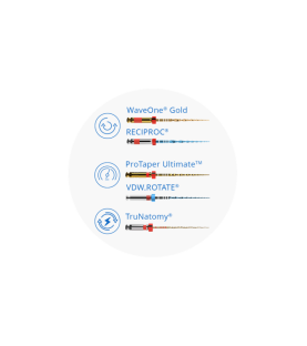 X-Smart® Pro+ Endo Motor cu Apex Locator