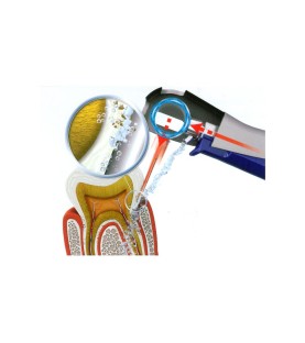 Ilustrație Vector Paro în acțiune, secțiune
